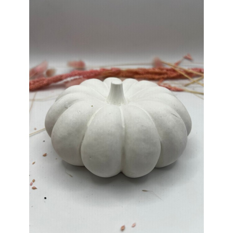 Büyük Yassı Kabak Silikon Kalıp