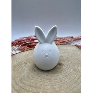 Dik Kulak Tavşan Silikon Kalıp