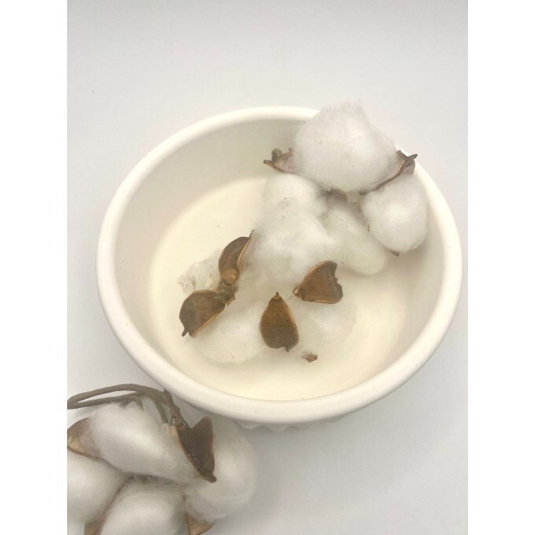 Çizgili Yuvarlak Kase Silikon Kalıp