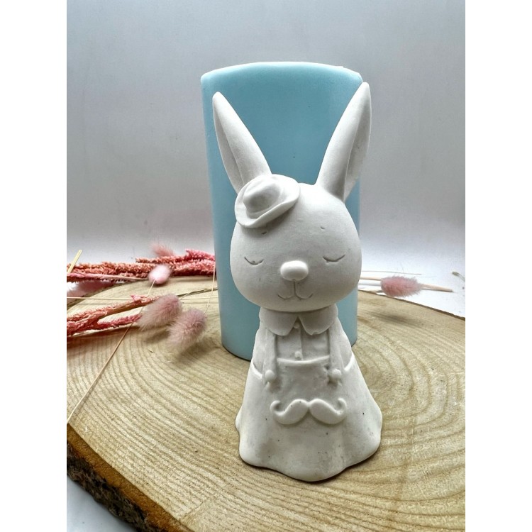  Cute Male Rabbit Silicone Mold
