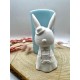  Cute Male Rabbit Silicone Mold