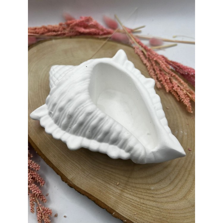 Büyük Deniz Kabuğu Silikon Kalıp