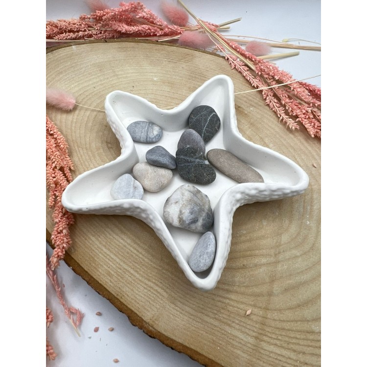 Deniz Yıldızı Sunumluk Silikon Kalıp