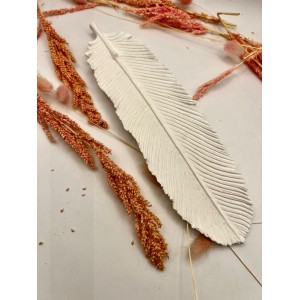  Long Bird Feather Presentation Silicone Mold