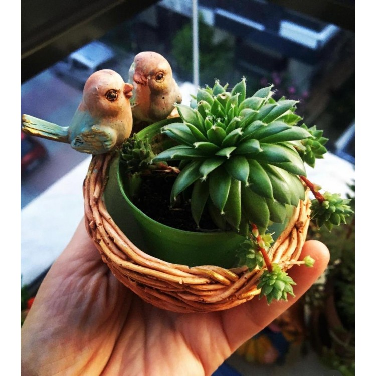 Muhabbet Kuşları Sepeti Silikon Kalıp