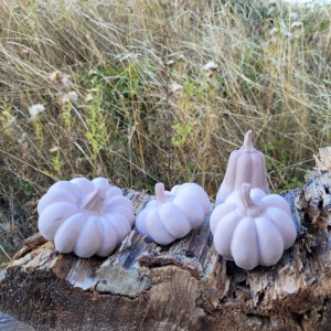 Kabak No 11 Silikon Kalıp